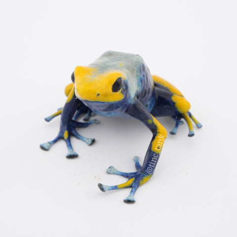 Dendrobates tinctorius 'Tumucumaque'