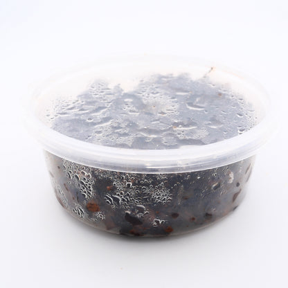 Temperate Springtail Culture - 8 oz