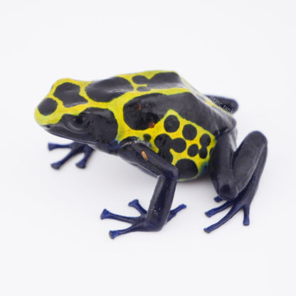 Dendrobates tinctorius 'Green Sipaliwini'